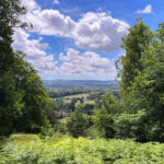 Shoulder of Mutton Hill, Edward Thomas Stone, Ashford Hangers National Nature Reserve, Steep, Near Petersfield, Hampshire