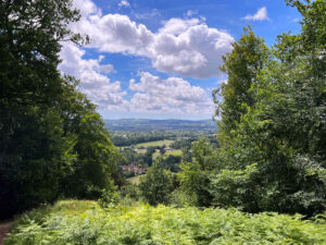 Shoulder of Mutton Hill, Edward Thomas Stone, Ashford Hangers National Nature Reserve, Steep, Near Petersfield, Hampshire