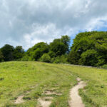 Shoulder of Mutton Hill, Edward Thomas Stone, Ashford Hangers National Nature Reserve, Steep, Near Petersfield, Hampshire
