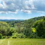 Shoulder of Mutton Hill, Edward Thomas Stone, Ashford Hangers National Nature Reserve, Steep, Near Petersfield, Hampshire