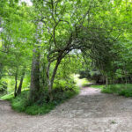 Shoulder of Mutton Hill, Edward Thomas Stone, Ashford Hangers National Nature Reserve, Steep, Near Petersfield, Hampshire