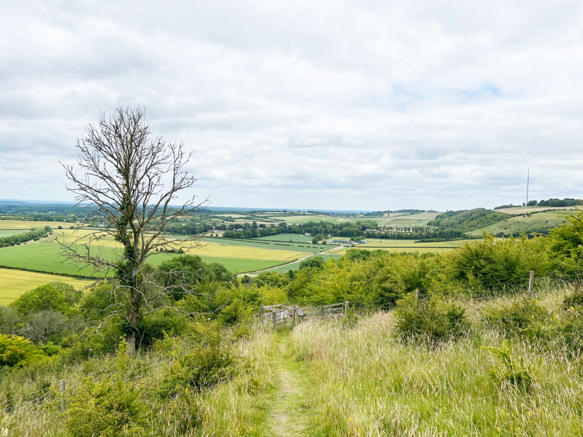 Watership-Down-Hill-Kingsclere-Berkshire-43.jpg