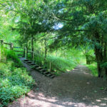Wheatham Hill in the Ashford Hangers National Nature Reserve, Steep, Petersfield