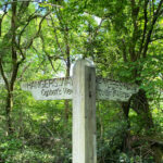 Wheatham Hill in the Ashford Hangers National Nature Reserve, Steep, Petersfield