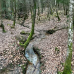 Alice Holt Forest, Story Trails and Adventure Play Areas in Farnham, Hampshire
