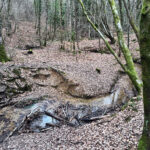 Alice Holt Forest, Story Trails and Adventure Play Areas in Farnham, Hampshire