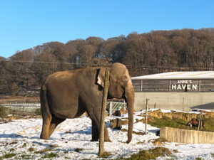 Longleat Safari Park and Adventure Gardens, Warminster, Wiltshire