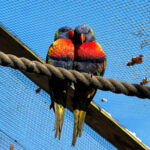Longleat Safari Park and Adventure Gardens, Warminster, Wiltshire