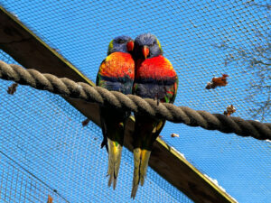Longleat Safari Park and Adventure Gardens, Warminster, Wiltshire