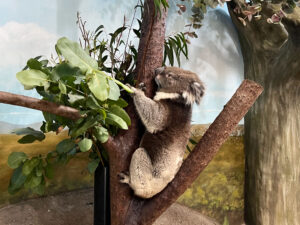 Longleat Safari Park and Adventure Gardens, Warminster, Wiltshire