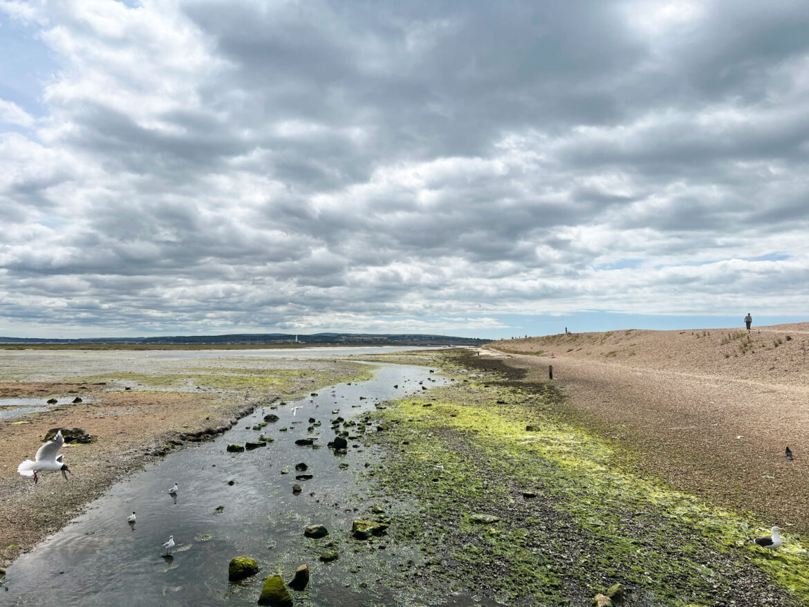 Hurst-Spit-Keyhaven-Lymington-New-Forest-12.jpg