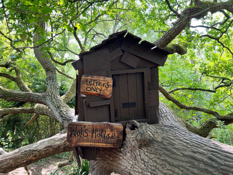 100 Aker Wood at Aldenham Country Park in Elstree near Watford, Hertfordshire