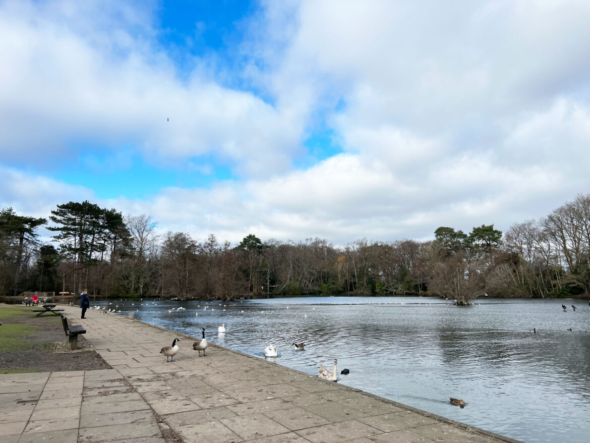 California-Country-Park-Finchampstead-200.jpg