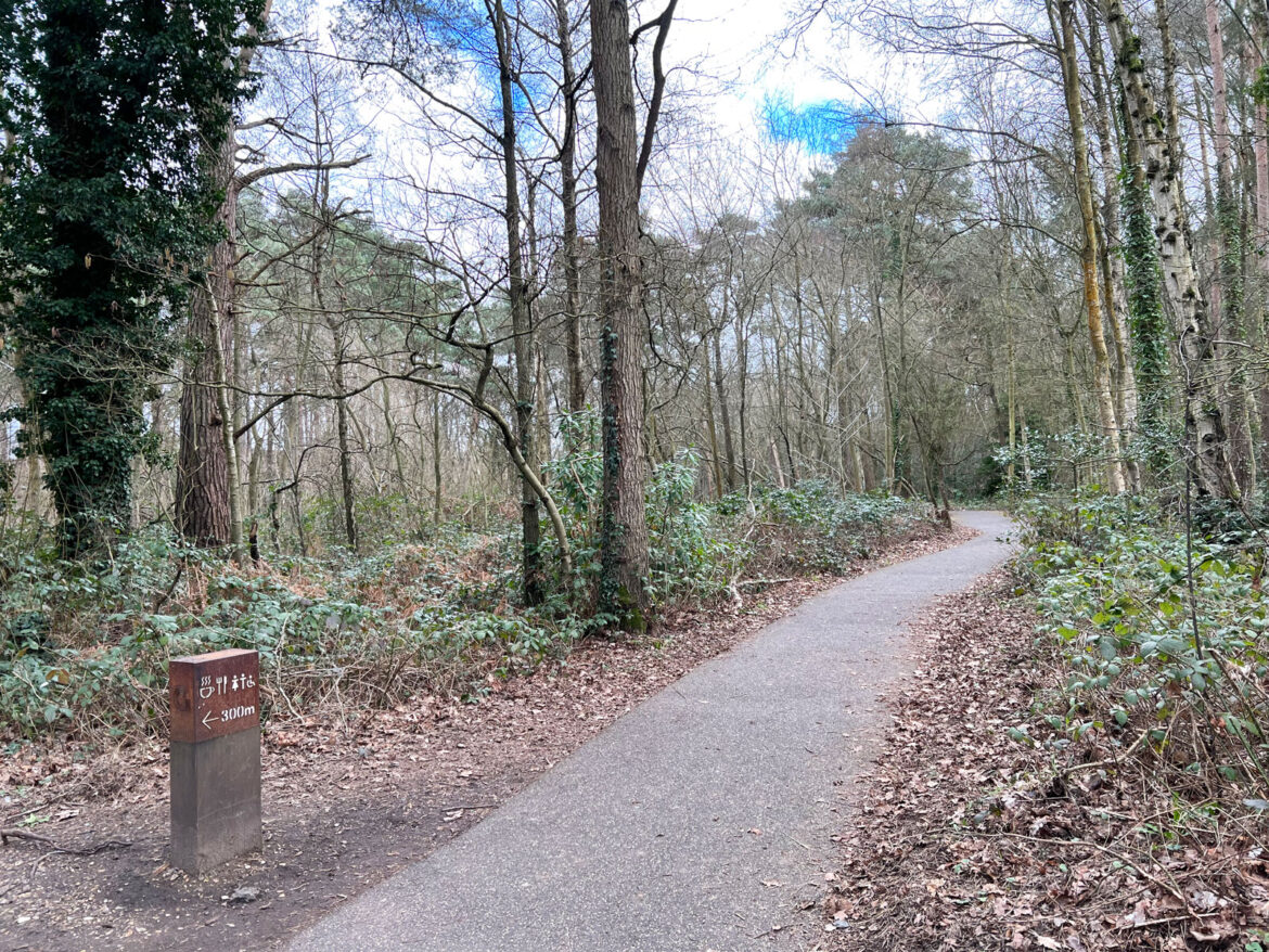 California-Country-Park-Finchampstead-201.jpg