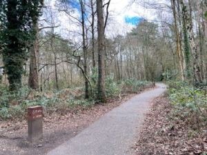 California Country Park in Finchampstead, Berkshire