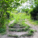 Shoulder of Mutton Hill, Edward Thomas Stone, Ashford Hangers National Nature Reserve, Steep, Near Petersfield, Hampshire