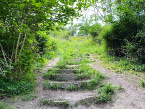Shoulder of Mutton Hill, Edward Thomas Stone, Ashford Hangers National Nature Reserve, Steep, Near Petersfield, Hampshire