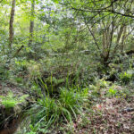 Normandy Common and Adventure Play Area in Normandy Near Guildford, Surrey
