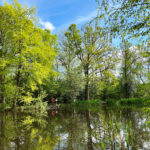 Normandy Common Pond Normandy Near Guildford, Surrey
