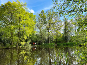 Normandy Common Pond Normandy Near Guildford, Surrey