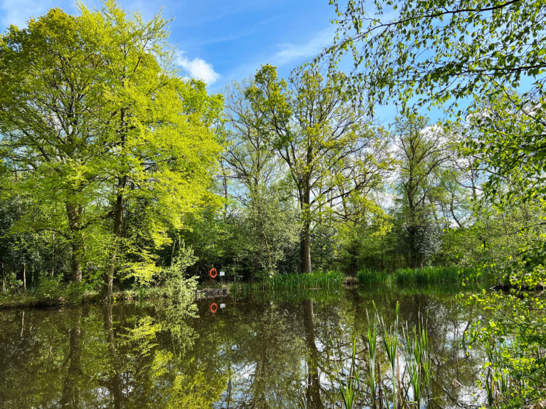 Normandy Common Pond Normandy Near Guildford, Surrey