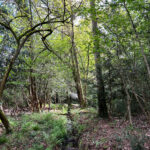 Normandy Common and Adventure Play Area in Normandy Near Guildford, Surrey