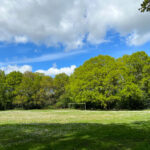 Normandy Common and Adventure Play Area in Normandy Near Guildford, Surrey