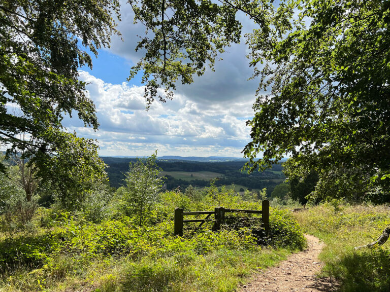 West Hanger in Shere Woodlands in Shere, Near Guildford, Surrey Hills