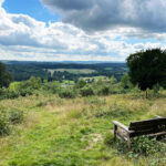 West Hanger in Shere Woodlands in Shere, Near Guildford, Surrey Hills