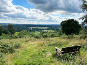West Hanger in Shere Woodlands in Shere, Near Guildford, Surrey Hills