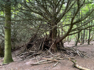 West Hanger in Shere Woodlands in Shere, Near Guildford, Surrey Hills