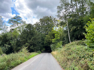 West Hanger in Shere Woodlands in Shere, Near Guildford, Surrey Hills