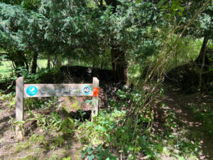 Combe Bottom in Shere Woodlands in Shere, Near Guildford, Surrey Hills