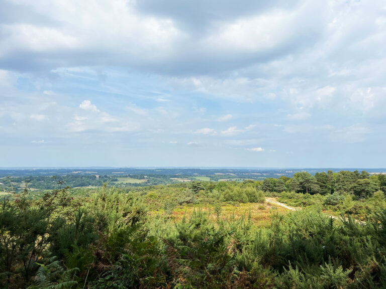 Memorial to A.A. Milne and E.H. Shepard at Gills Lap in Ashdown Forest, East Sussex