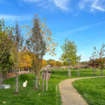 Hobbledown Farm and Adventure Park in Epsom