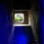 Hobbledown Farm and Adventure Park in Epsom
