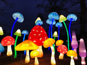 Festival of Light at Longleat Safari Park and Adventure Gardens, Warminster, Wiltshire