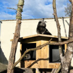 Longleat Safari Park and Adventure Gardens, Warminster, Wiltshire