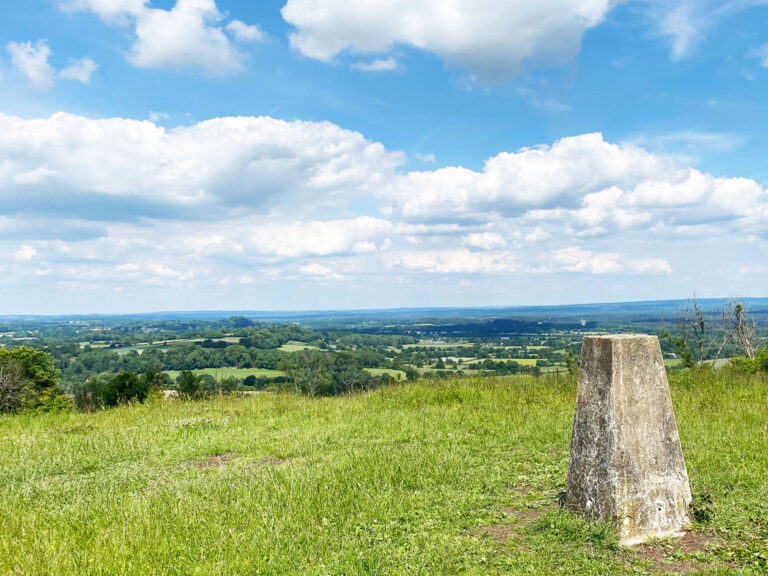 Wheatham Hill in the Ashford Hangers National Nature Reserve, Steep, Petersfield