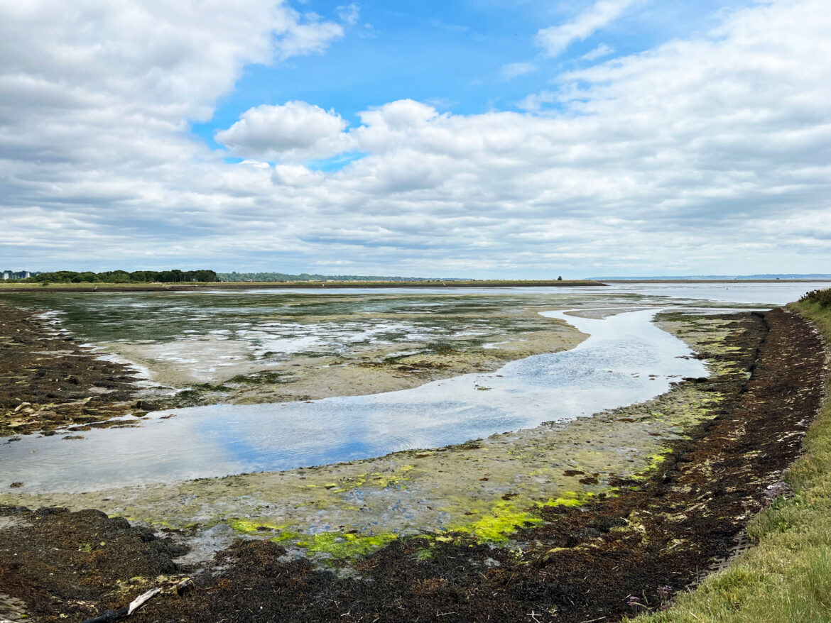 Lymington-and-Keyhaven-Marshes-Local-Nature-Reserve-and-Salterns-Story-Trail-10.jpg