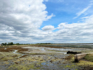 Lymington and Keyhaven Marshes Local Nature Reserve near Christchurch, New Forest