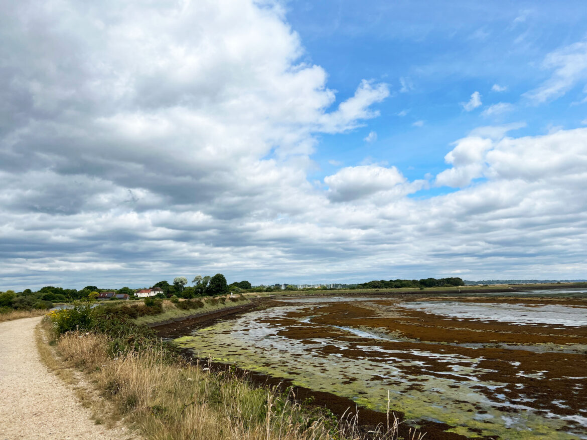 Lymington-and-Keyhaven-Marshes-Local-Nature-Reserve-and-Salterns-Story-Trail-12.jpg