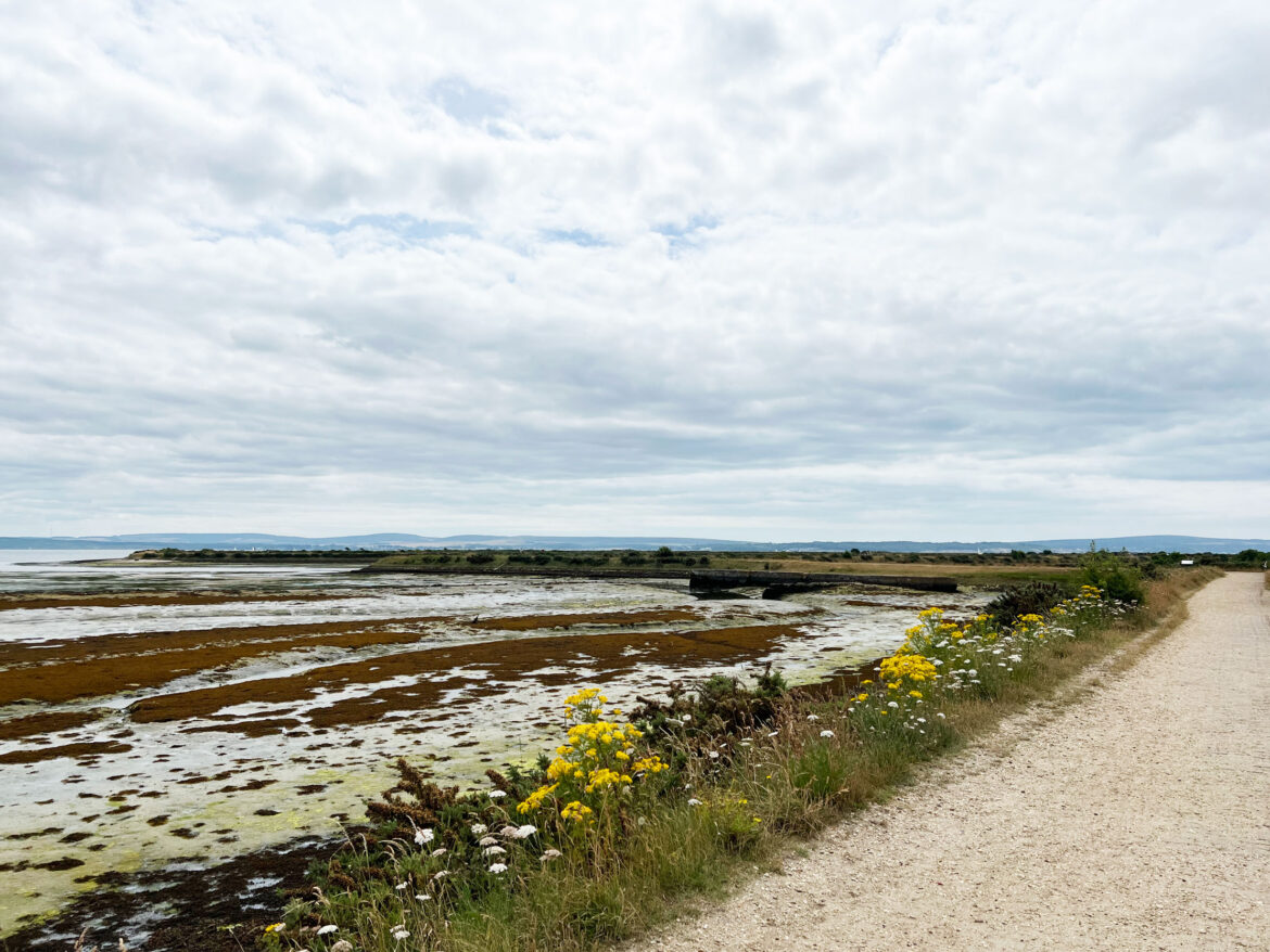 Lymington-and-Keyhaven-Marshes-Local-Nature-Reserve-and-Salterns-Story-Trail-13.jpg