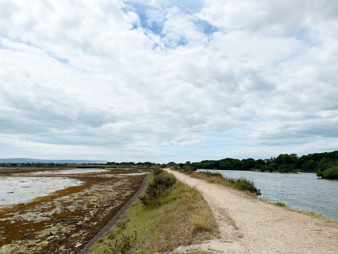 Lymington-and-Keyhaven-Marshes-Local-Nature-Reserve-and-Salterns-Story-Trail-16.jpg