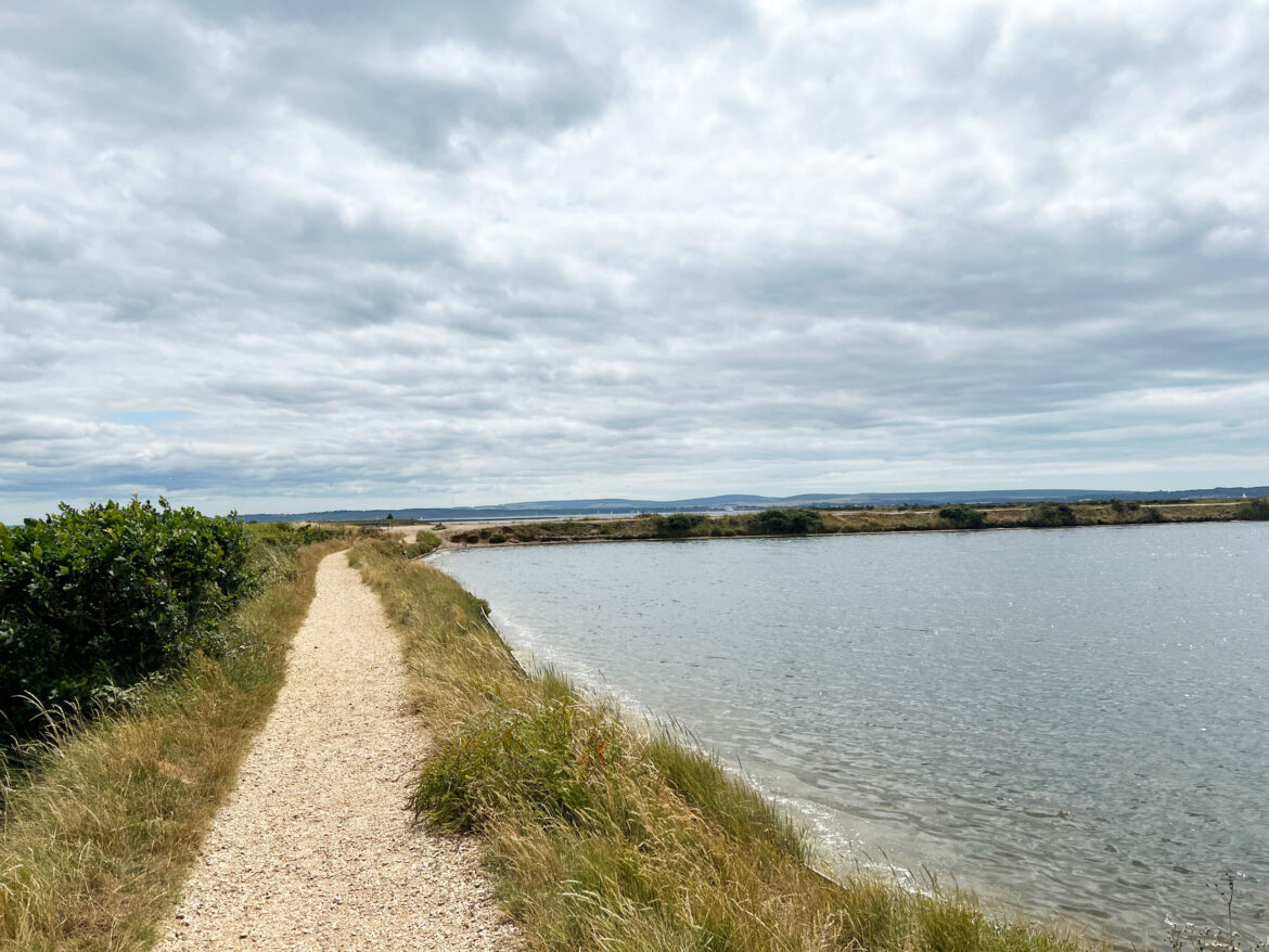 Lymington-and-Keyhaven-Marshes-Local-Nature-Reserve-and-Salterns-Story-Trail-18.jpg