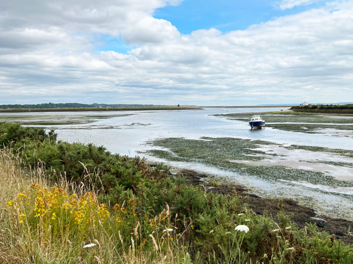 Lymington-and-Keyhaven-Marshes-Local-Nature-Reserve-and-Salterns-Story-Trail-7.jpg