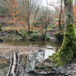Alice Holt Forest, Story Trails and Adventure Play Areas in Farnham, Hampshire