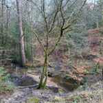 Alice Holt Forest, Story Trails and Adventure Play Areas in Farnham, Hampshire